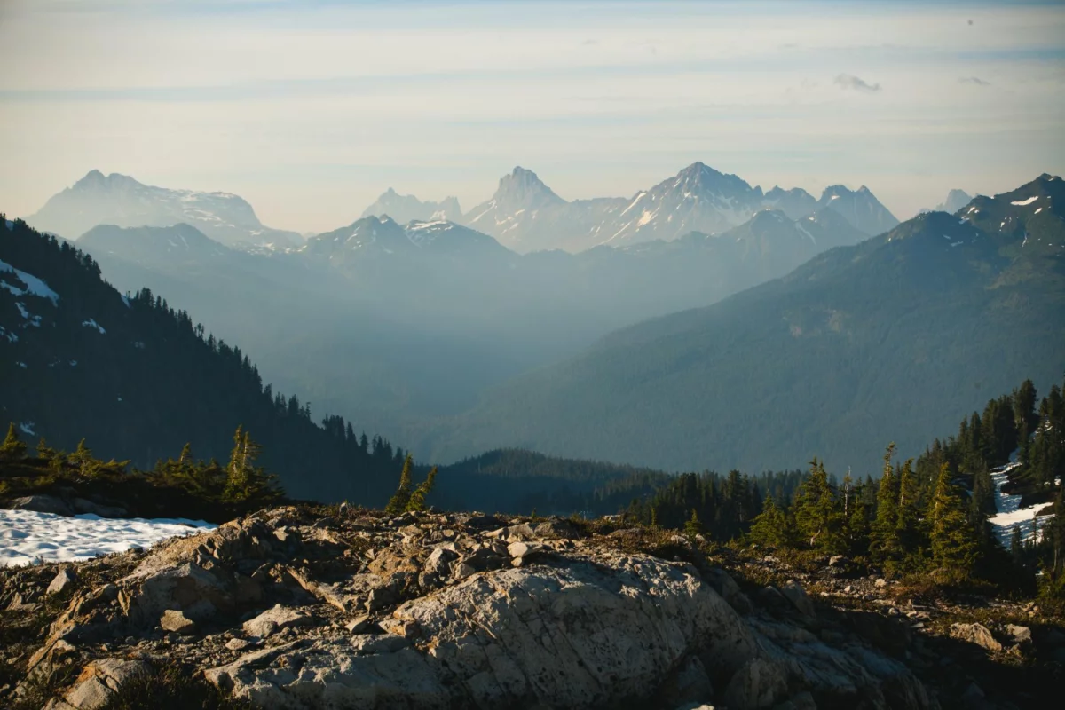 naprawić ekspres do kawy? Tak!