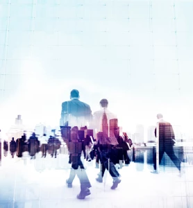 Czy jest nowe prawo jak pozycjonować firmę lokalną?