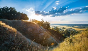 Czy w 2022 można  chronić środowisko?