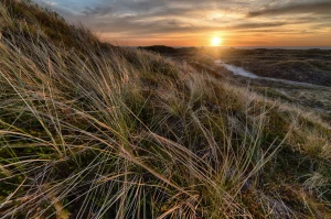  naprawić ekspres do kawy w 2020?